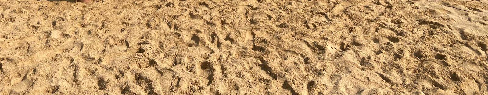 Imagem de capa de Gangue do Mangue