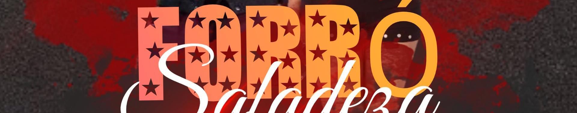 Imagem de capa de Banda forró safadeza