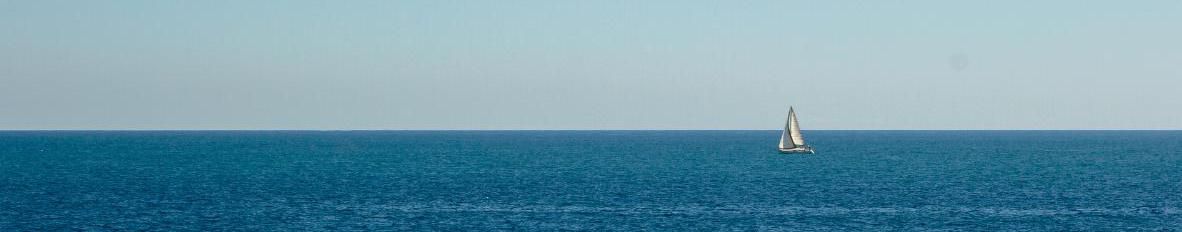 Imagem de capa de Sovza