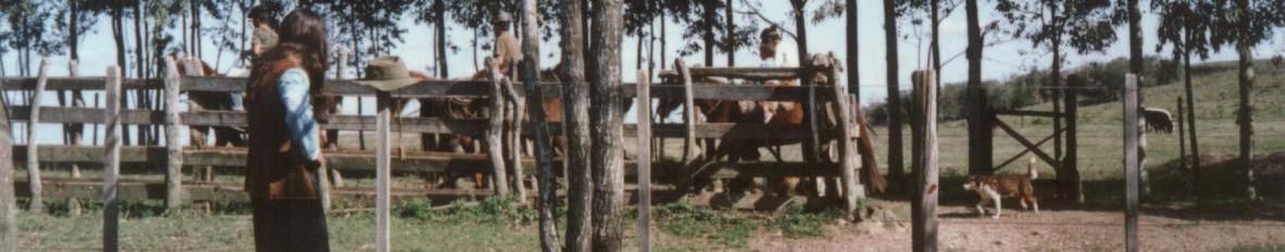 Imagem de capa de Magno Charrua