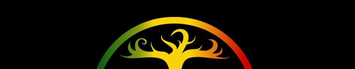 Imagem de capa de Shalom Roots