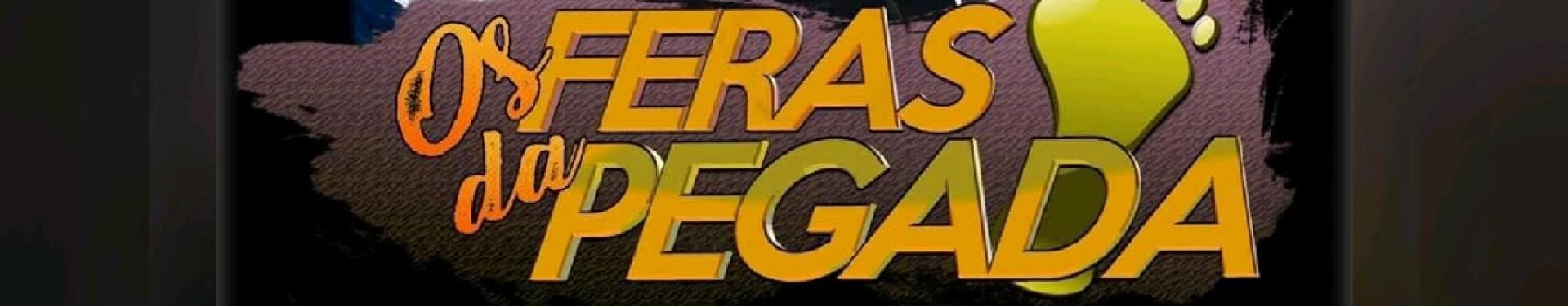 Imagem de capa de Os Feras Da Pegada