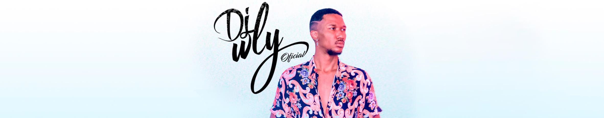 Imagem de capa de Dj wLy