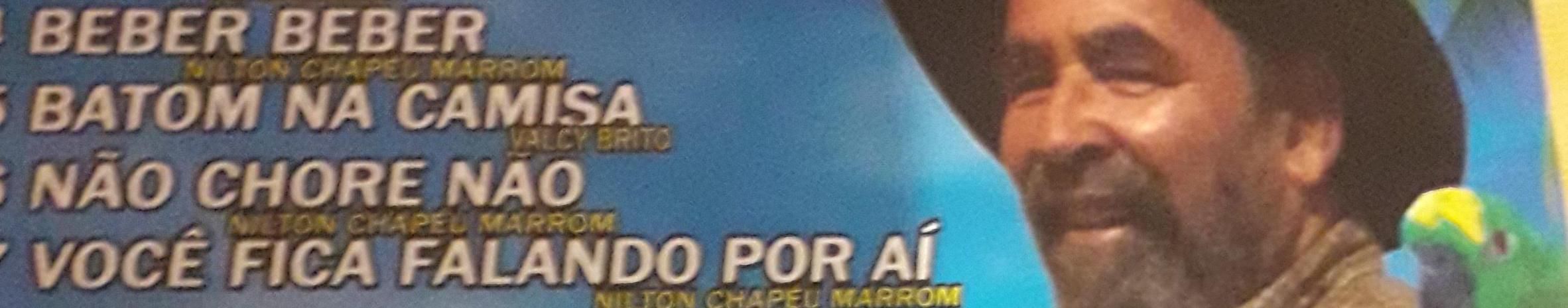 Imagem de capa de Chapéu Marrom