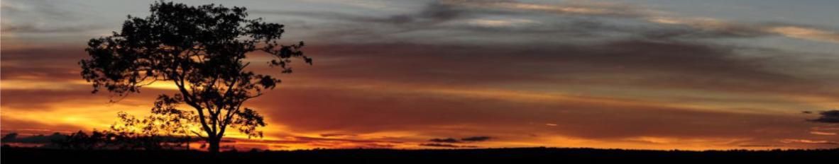 Imagem de capa de DENIS PIRES