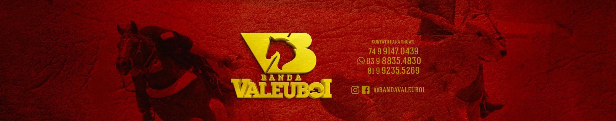 Imagem de capa de BANDA VALEU BOI OFICIAL - PALCO MP3