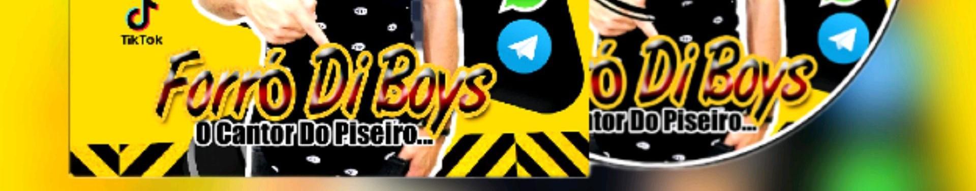 Imagem de capa de Forró Di Boys - O Cantor Do Piseiro
