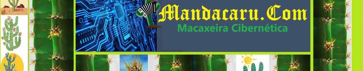 Imagem de capa de Mandacaru Ponto Com