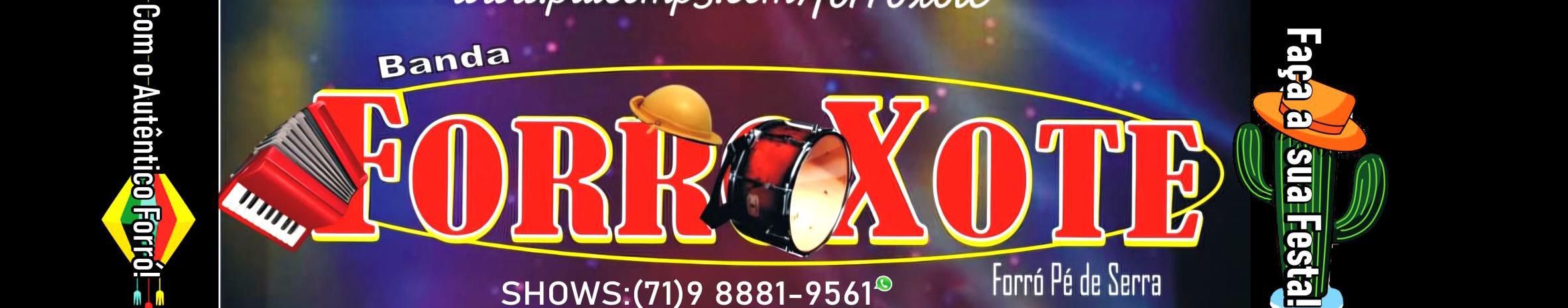 Imagem de capa de Banda Forroxote Pé de Serra