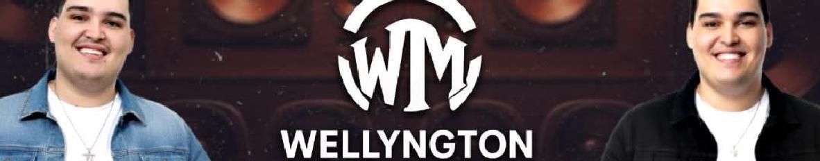 Imagem de capa de Wellyngton Macedo O Swing do Forró