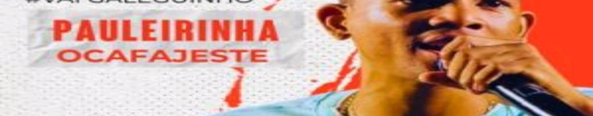 Imagem de capa de Pauleirinha Do Arrocha