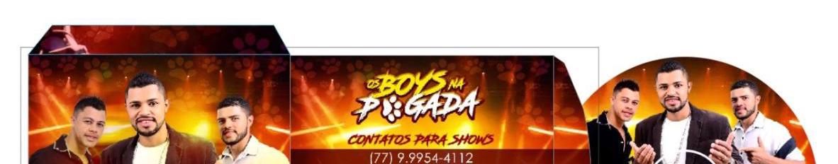 Imagem de capa de Os Boys na Pegada