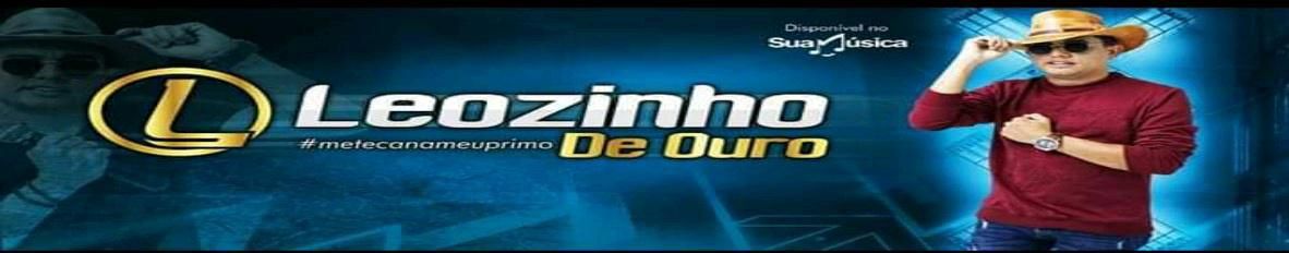 Imagem de capa de Leozinho Do Arrocha