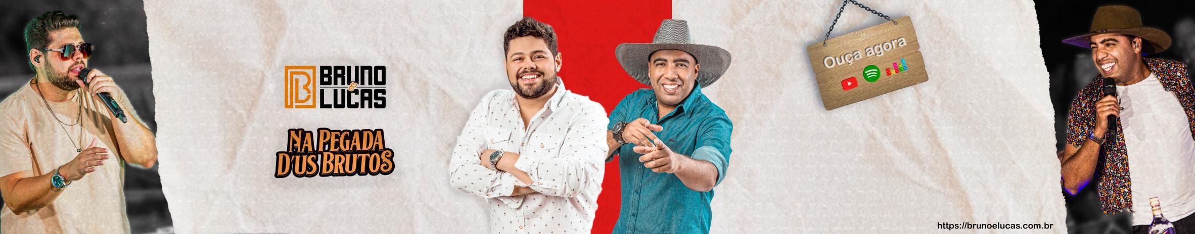 Imagem de capa de Bruno e Lucas