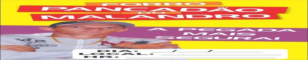 Imagem de capa de WÍRIS "O PANCADÃO DO MALANDRO"