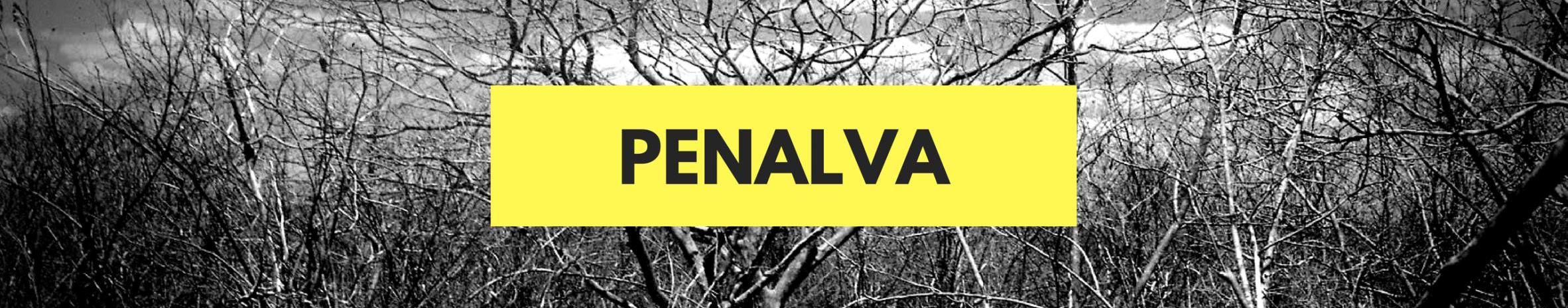 Imagem de capa de Penalva