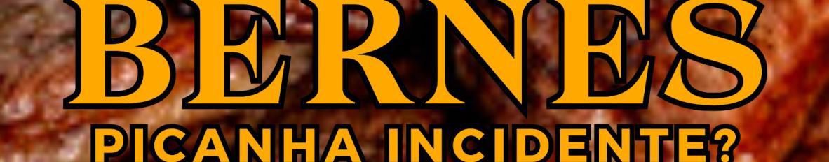 Imagem de capa de Bernes