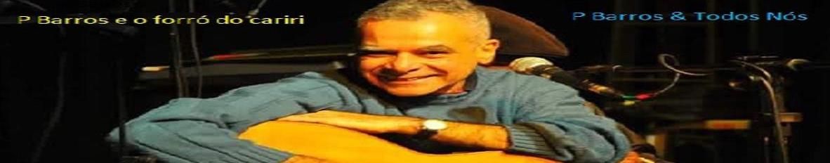 Imagem de capa de P Barros