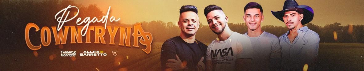 Imagem de capa de Evandro e Henrique
