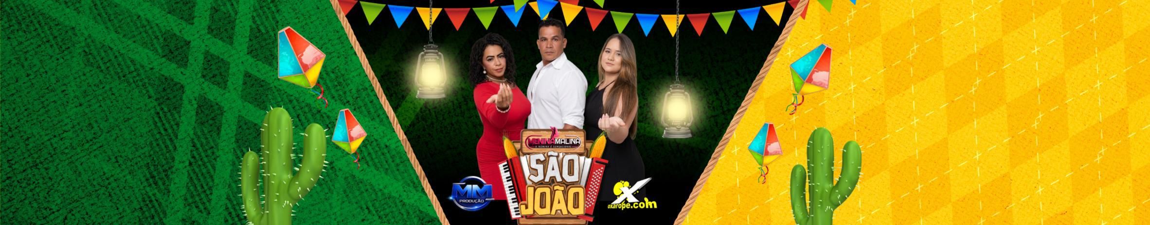 Imagem de capa de Menina Malina