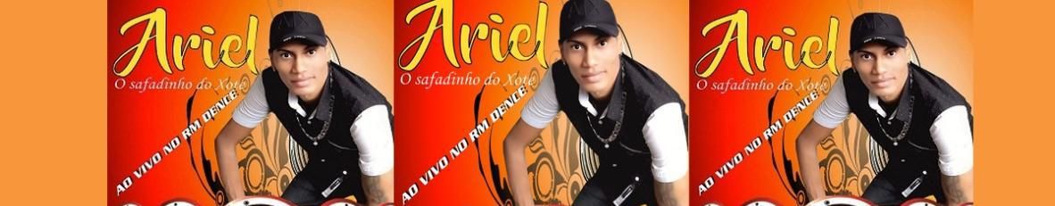 Imagem de capa de Ariel o Safadinho do xote