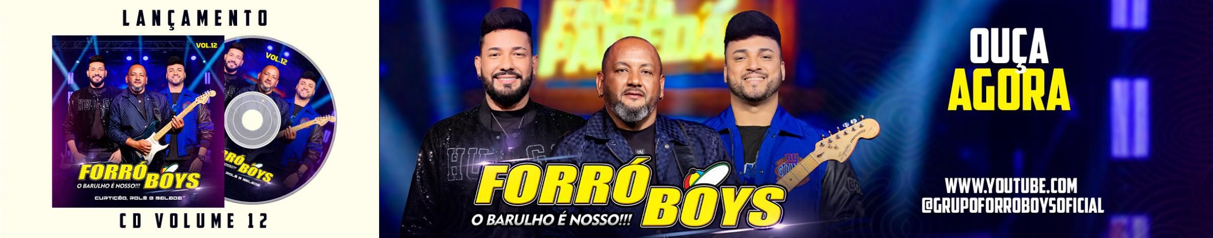 Imagem de capa de Banda Forró Boys