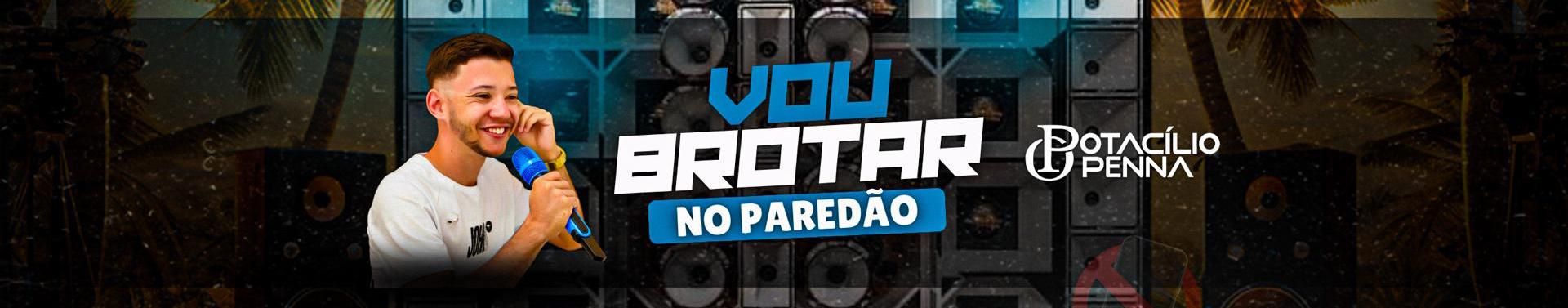 Imagem de capa de Otacílio Penna