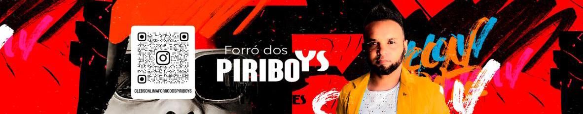 Imagem de capa de FORRO DOS PIRIBOYS O REI DOS PAREDÕES