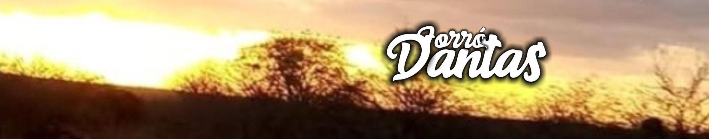 Imagem de capa de Forró Dantas