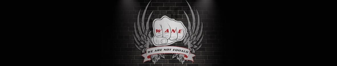 Imagem de capa de WANE