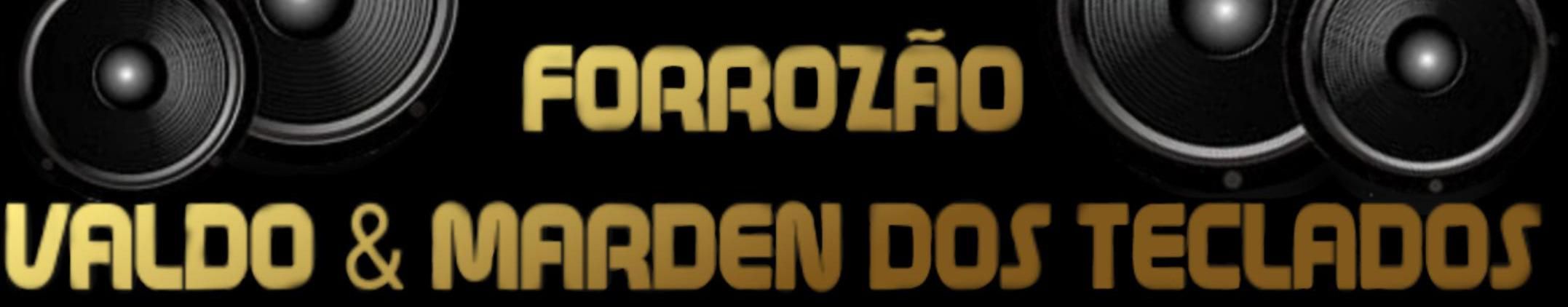 Imagem de capa de Forrozão Valdo & Marden Dos Teclados