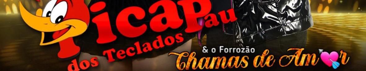 Imagem de capa de Pica Pau dos Teclados e Forrozão Chamas de Amor