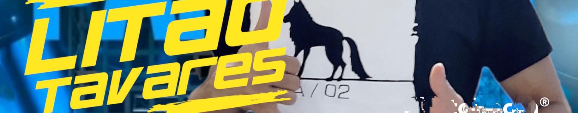 Imagem de capa de Litão Tavares