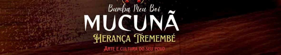 Imagem de capa de Boi Mucunã de Tutoia MA