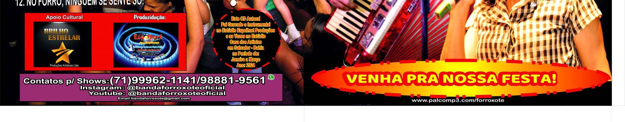 Imagem de capa de Banda Forroxote Pé de Serra
