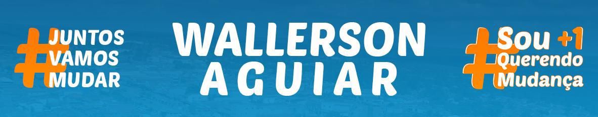Imagem de capa de Wallerson Aguiar