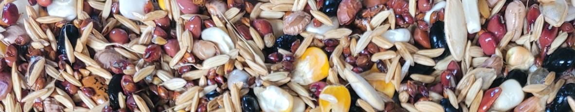 Imagem de capa de Corbari