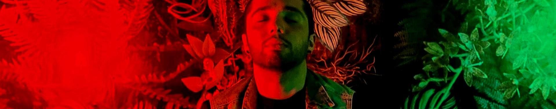 Imagem de capa de Dann