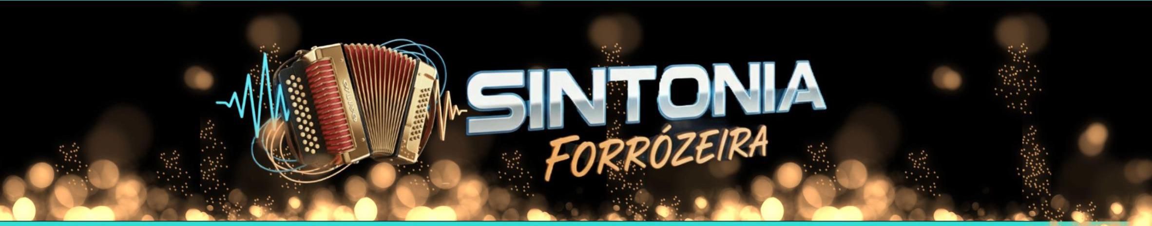 Imagem de capa de Banda Sintonia Forrozeira Mcz