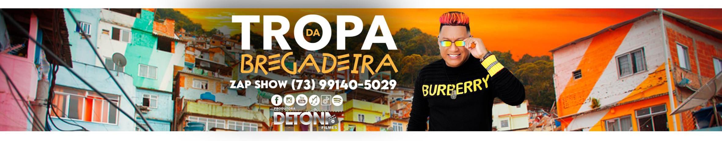 Imagem de capa de Tropa da Bregadeira