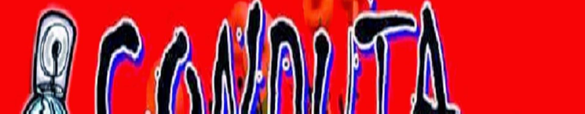 Imagem de capa de CONDUTA SONORA