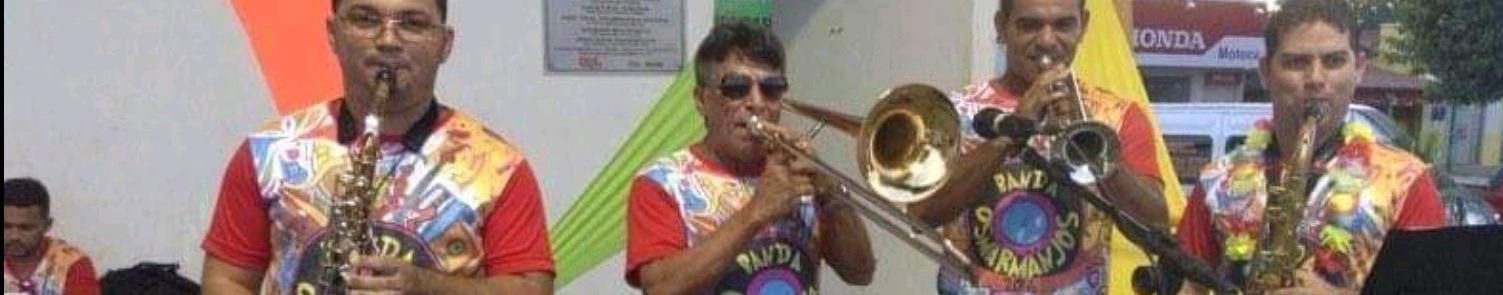 Imagem de capa de Os Marmanjos