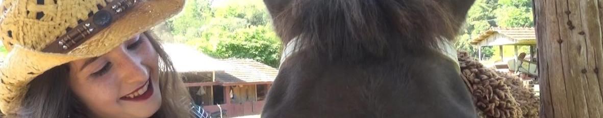 Imagem de capa de Jiamara Baiocco