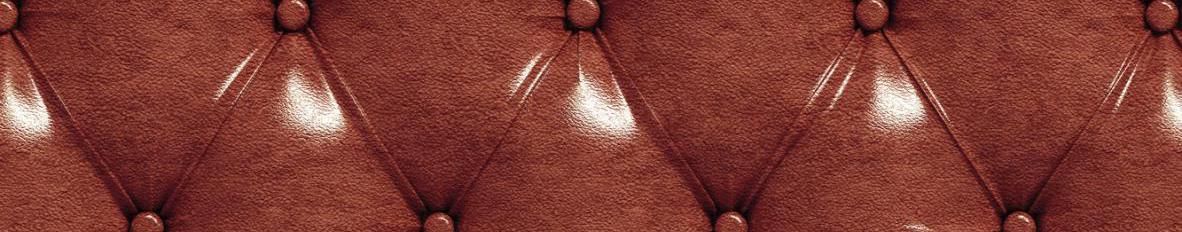 Imagem de capa de Tom Lamounier