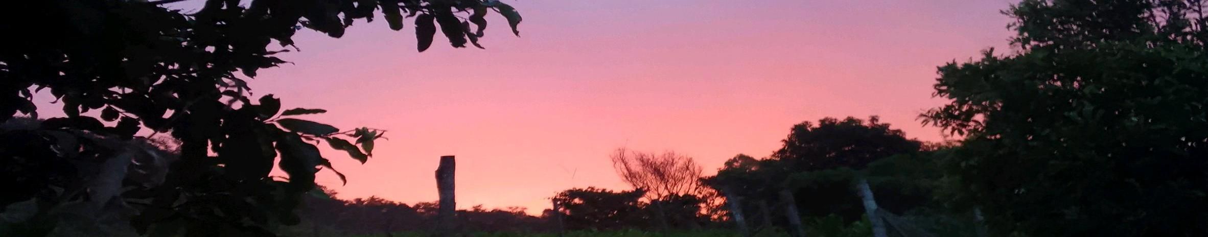 Imagem de capa de Edson e Eliseu