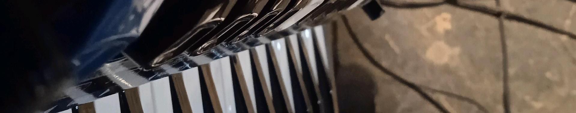 Imagem de capa de Rafinha Do Acordeon