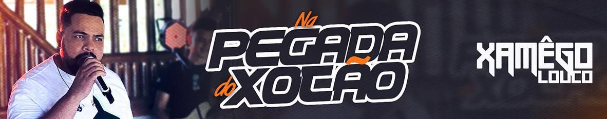 Imagem de capa de Forró Xamêgo Louco