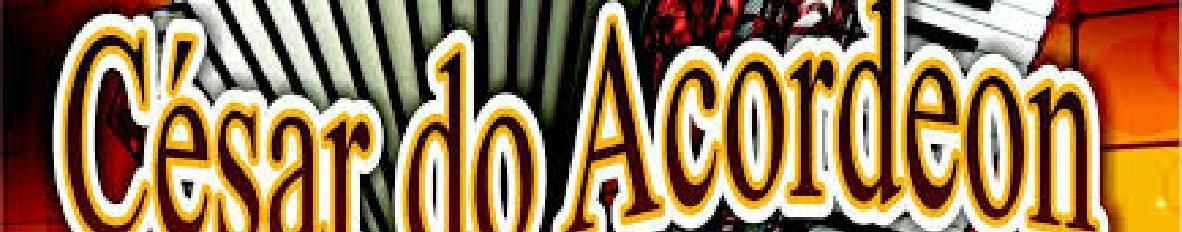 Imagem de capa de César Do Acordeon -  O Forró do Bom