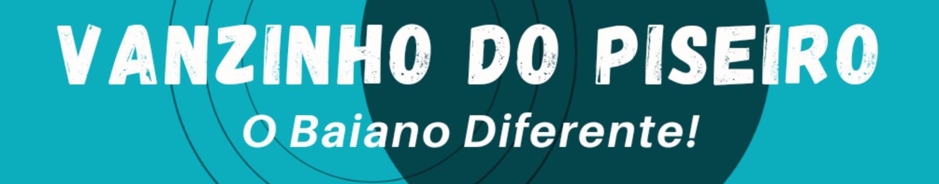 Imagem de capa de Vanzinho do Piseiro
