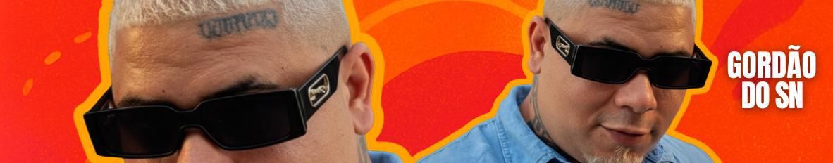 Imagem de capa de GORDÃO DO SN
